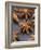 Star Anise-Winfried Heinze-Framed Photographic Print