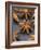 Star Anise-Winfried Heinze-Framed Photographic Print