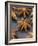 Star Anise-Winfried Heinze-Framed Photographic Print