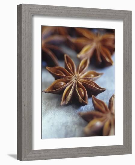 Star Anise-Maja Smend-Framed Photographic Print