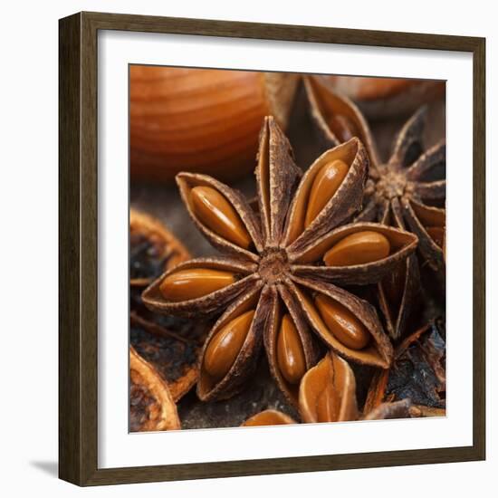 Star Anise-Chris Schäfer-Framed Photographic Print