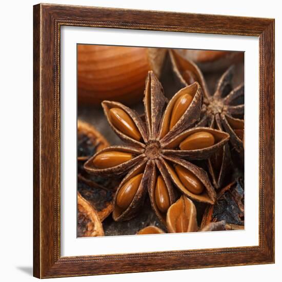 Star Anise-Chris Schäfer-Framed Photographic Print