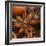 Star Anise-Chris Schäfer-Framed Photographic Print