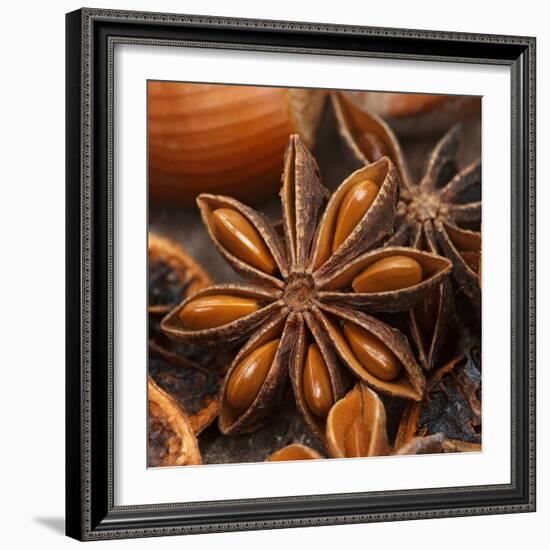 Star Anise-Chris Schäfer-Framed Photographic Print