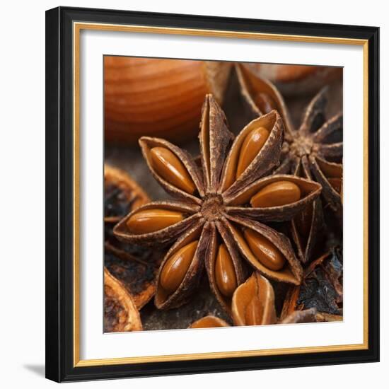 Star Anise-Chris Schäfer-Framed Photographic Print