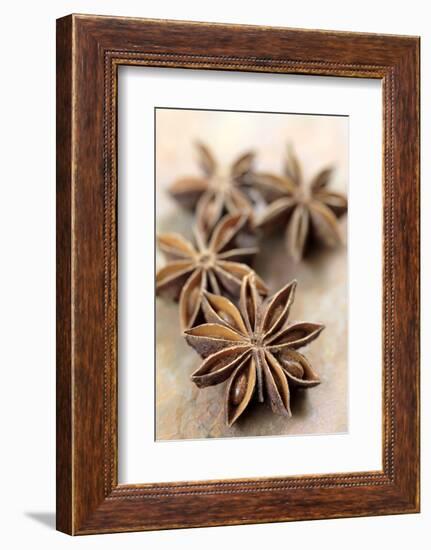 Star Anise-Neil Overy-Framed Photographic Print