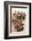 Star Anise-Neil Overy-Framed Photographic Print