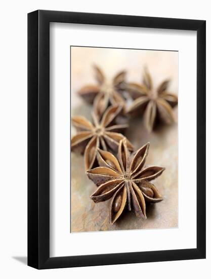 Star Anise-Neil Overy-Framed Photographic Print