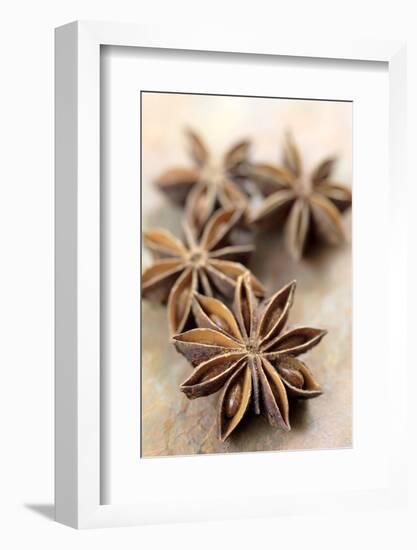 Star Anise-Neil Overy-Framed Photographic Print