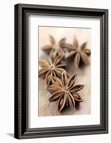 Star Anise-Neil Overy-Framed Photographic Print