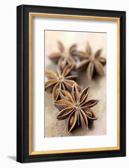 Star Anise-Neil Overy-Framed Photographic Print