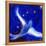 Star Bird, 2012-Nancy Moniz-Framed Premier Image Canvas