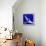 Star Bird, 2012-Nancy Moniz-Framed Premier Image Canvas displayed on a wall
