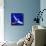 Star Bird, 2012-Nancy Moniz-Framed Premier Image Canvas displayed on a wall
