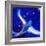 Star Bird, 2012-Nancy Moniz-Framed Giclee Print