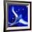 Star Bird, 2012-Nancy Moniz-Framed Giclee Print