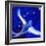 Star Bird, 2012-Nancy Moniz-Framed Giclee Print