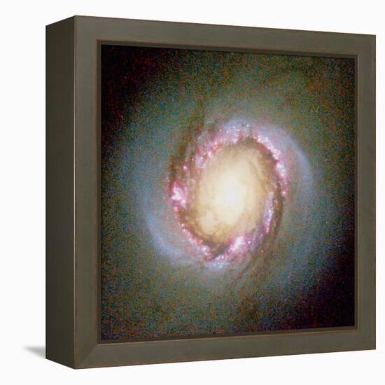 Star Birth In Galaxy NGC 4314-null-Framed Premier Image Canvas