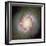 Star Birth In Galaxy NGC 4314-null-Framed Premium Photographic Print