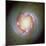 Star Birth In Galaxy NGC 4314-null-Mounted Premium Photographic Print