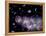 Star Birth In the Early Universe-null-Framed Premier Image Canvas