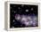 Star Birth In the Early Universe-null-Framed Premier Image Canvas