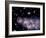 Star Birth In the Early Universe-null-Framed Photographic Print