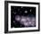 Star Birth In the Early Universe-null-Framed Photographic Print