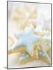 Star Biscuits with Blue and White Icing-null-Mounted Photographic Print