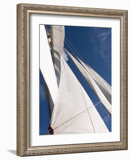 Star Clipper Sailing Cruise Ship, Deshaies, Basse-Terre, Guadeloupe, West Indies, French Caribbean-Sergio Pitamitz-Framed Photographic Print