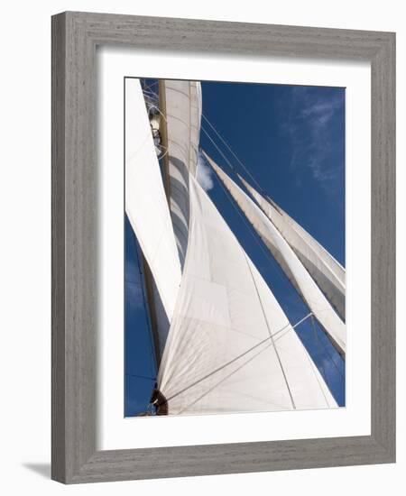 Star Clipper Sailing Cruise Ship, Deshaies, Basse-Terre, Guadeloupe, West Indies, French Caribbean-Sergio Pitamitz-Framed Photographic Print