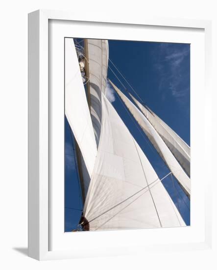 Star Clipper Sailing Cruise Ship, Deshaies, Basse-Terre, Guadeloupe, West Indies, French Caribbean-Sergio Pitamitz-Framed Photographic Print