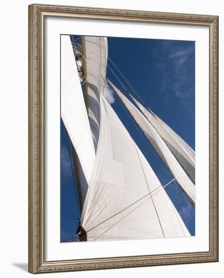 Star Clipper Sailing Cruise Ship, Deshaies, Basse-Terre, Guadeloupe, West Indies, French Caribbean-Sergio Pitamitz-Framed Photographic Print