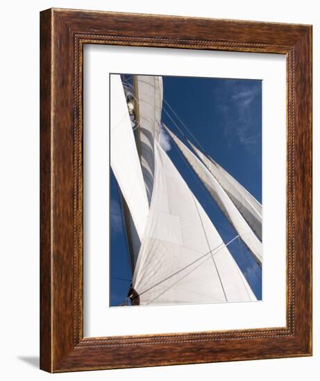 Star Clipper Sailing Cruise Ship, Deshaies, Basse-Terre, Guadeloupe, West Indies, French Caribbean-Sergio Pitamitz-Framed Photographic Print