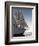 Star Clipper Sailing Cruise Ship, Dominica, West Indies, Caribbean, Central America-Sergio Pitamitz-Framed Photographic Print