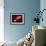 Star Distorted by Supermassive Black Hole-null-Framed Photographic Print displayed on a wall