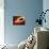 Star Distorted by Supermassive Black Hole-null-Photographic Print displayed on a wall