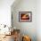 Star Distorted by Supermassive Black Hole-null-Framed Photographic Print displayed on a wall