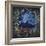 Star Dragon-Bill Bell-Framed Giclee Print