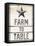 Star Farm-Milli Villa-Framed Stretched Canvas