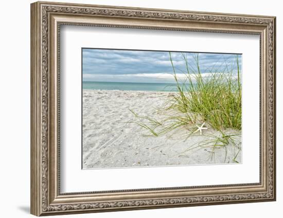 Star Fish and Sea Oats-Mary Lou Johnson-Framed Art Print