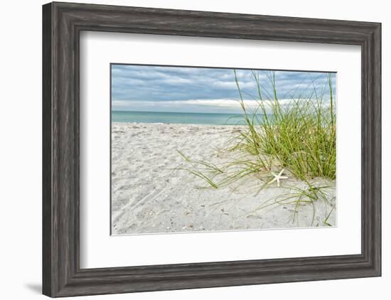 Star Fish and Sea Oats-Mary Lou Johnson-Framed Art Print