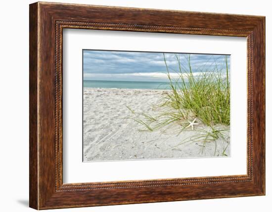 Star Fish and Sea Oats-Mary Lou Johnson-Framed Art Print