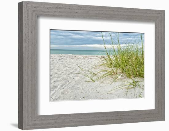 Star Fish and Sea Oats-Mary Lou Johnson-Framed Art Print