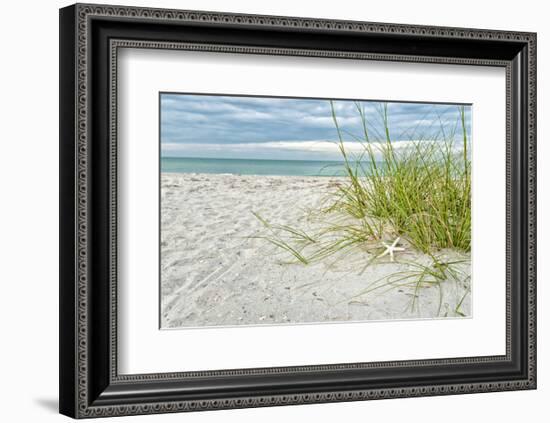 Star Fish and Sea Oats-Mary Lou Johnson-Framed Art Print