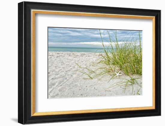 Star Fish and Sea Oats-Mary Lou Johnson-Framed Art Print