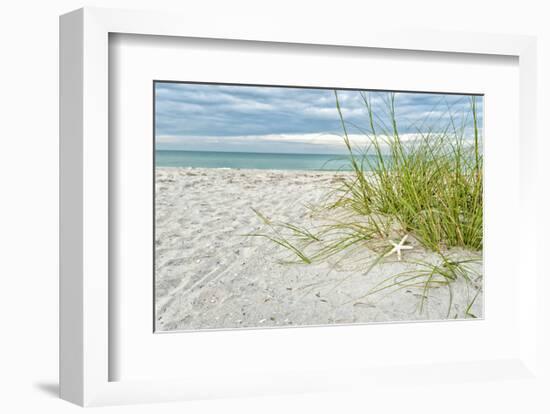 Star Fish and Sea Oats-Mary Lou Johnson-Framed Art Print