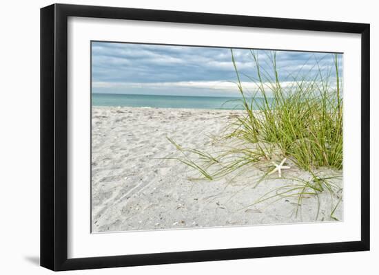 Star Fish and Sea Oats-Mary Lou Johnson-Framed Art Print