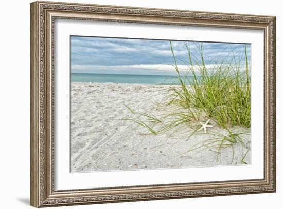 Star Fish and Sea Oats-Mary Lou Johnson-Framed Art Print