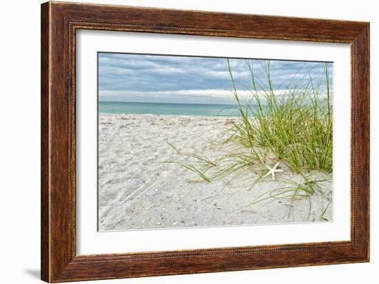 Star Fish and Sea Oats-Mary Lou Johnson-Framed Art Print